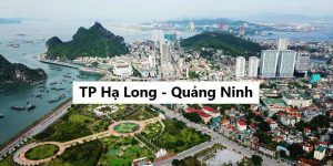 Lắp mạng VNPT Hạ Long